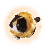 Miayiu的头像