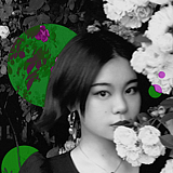 纹焘的头像
