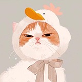 LvSX的头像