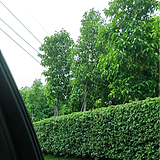 建模选手的头像