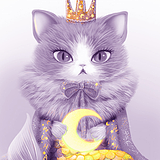 插画师秋白的头像