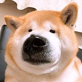 Simon1999的头像