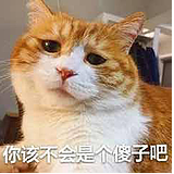 哆哆猫的头像