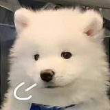 小亮同学brighten的头像