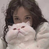 西柚YY的头像