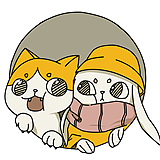 yumeyume梦猫的头像