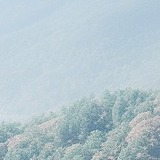 Z84686249的头像