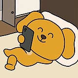 索君的头像