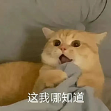 是小辅呀的头像