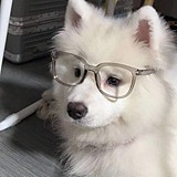 不想做虾米的头像