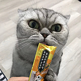 TTAO1的头像