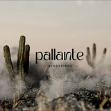 Pallante的头像
