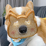 葡萄萄葡的头像