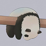 冰萱儿的头像