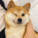 凉栀yy的头像