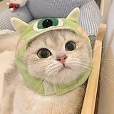 我是真ikun的头像