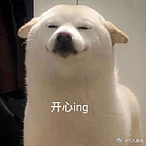 水阑的头像