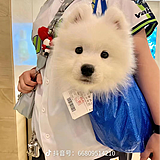 吾和嬲啦的头像