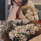 花阑珊Daisy的头像