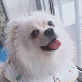 松露yy的头像