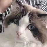 名字怎么取啊的头像