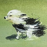 WTR_的头像