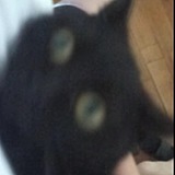 FFFFFFx的头像