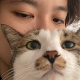 etonjoe的头像