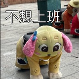 KonaDog的头像