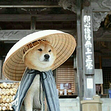 半卷浅墨的头像