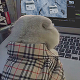 Mr宝先生的头像
