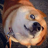 苦宥的头像