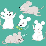 用戶頭像