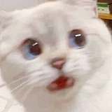 小何不设计的头像