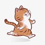 澜猫猫的头像