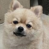 LightLink的头像