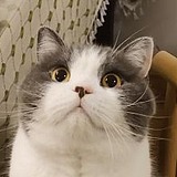 kdyyyy的头像