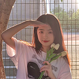 烧洋芋的头像
