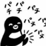 木支豆的头像