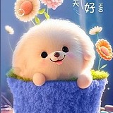 ggggps23的头像