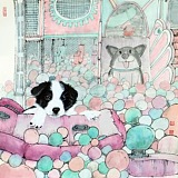 KYasha的头像