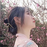 KX大帝的头像