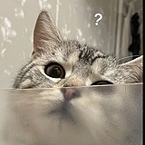 南一zh的头像