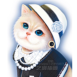 艺琳插画的头像