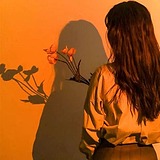 小李8的头像
