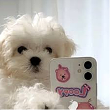 QIQI小妮子的头像