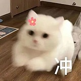 努力学习的小金的头像