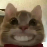 森垚视觉的头像
