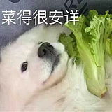 加油冻冻的头像