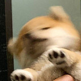 DennisCoi的头像